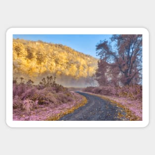 Misty McDade Trail - Gold Lavender Fantasy Sticker
